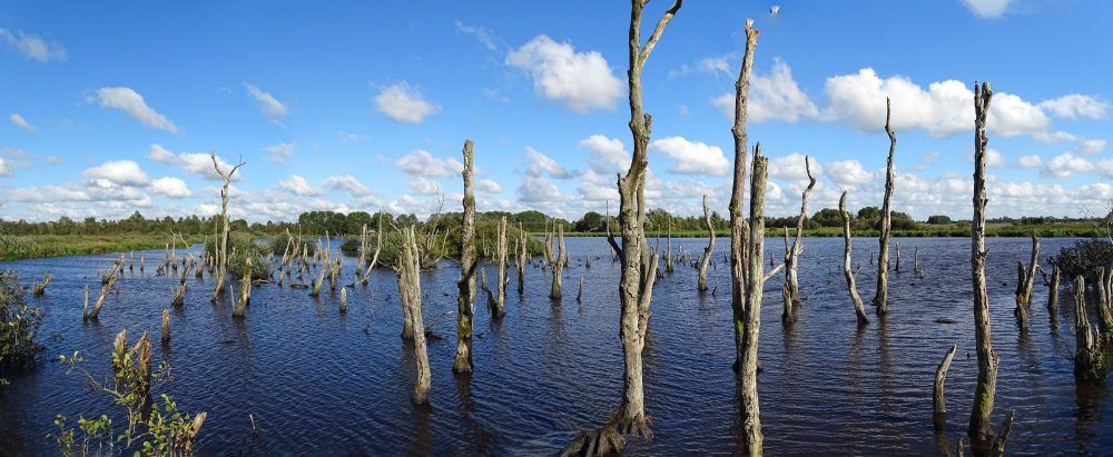 NP De Alde Feanen